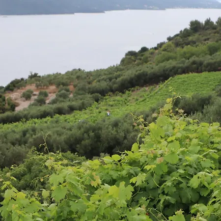 Apartment Bogoje Zapad